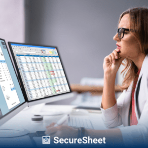 SecureSheet Multi User Collaboration 